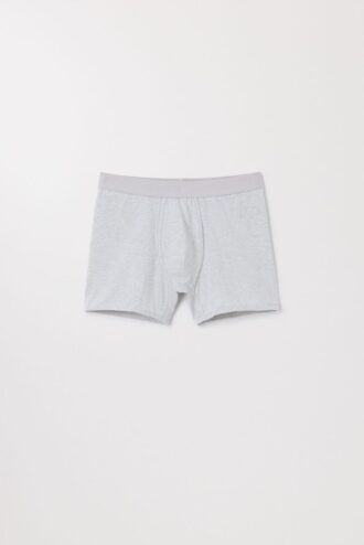 The Boxer Brief