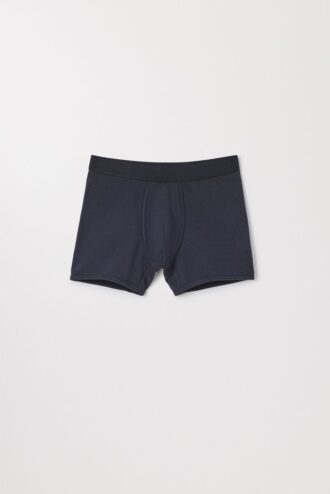 The Boxer Brief