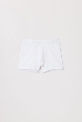 The Boxer Brief