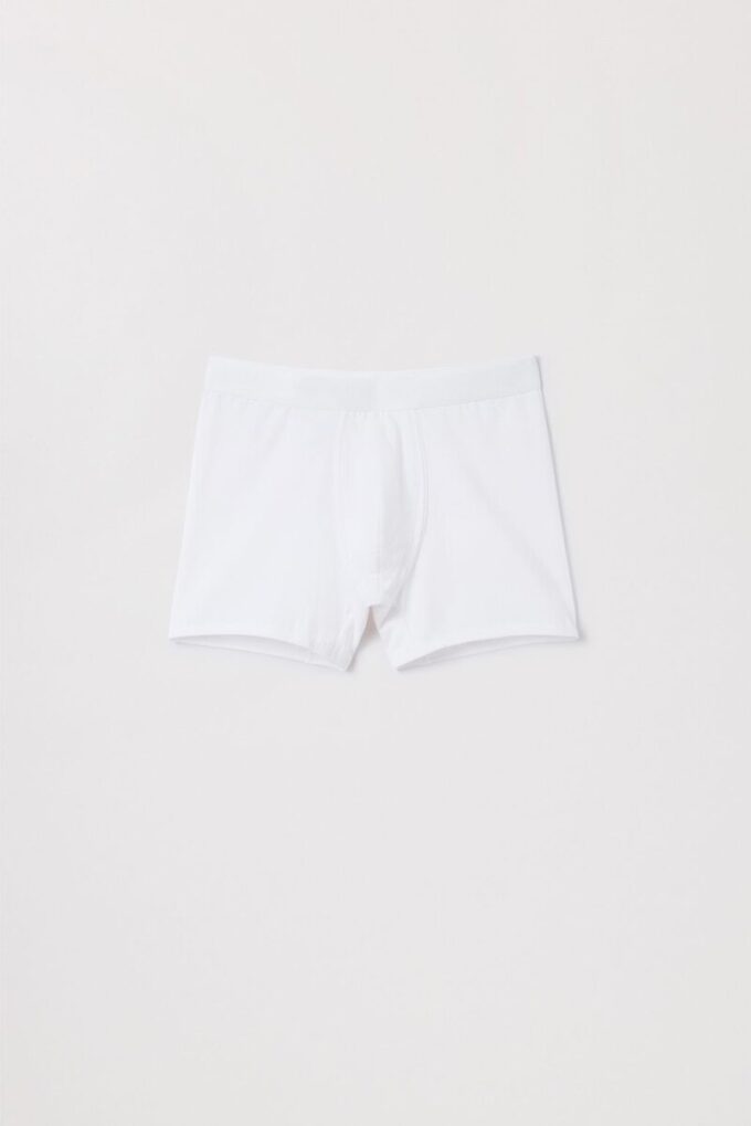 The Boxer Brief The Boxer Brief