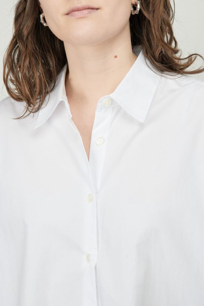 The Shirt – Archive