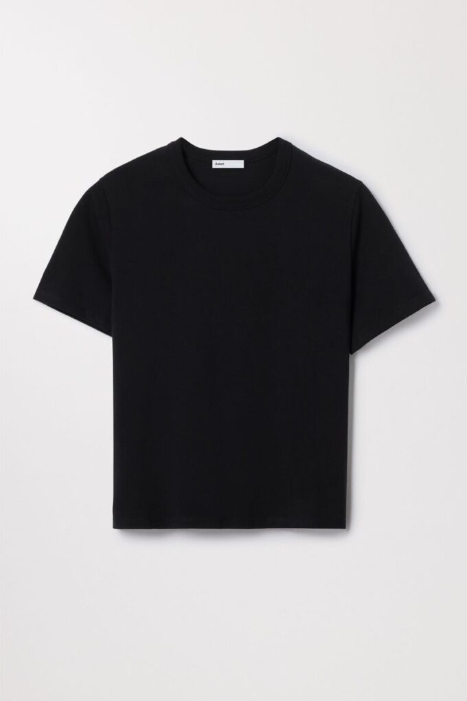 The T-Shirt The T-Shirt