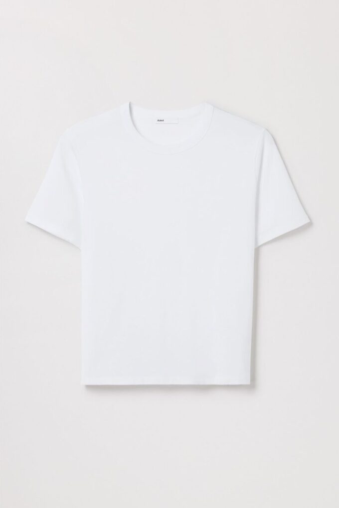 The T-Shirt The T-Shirt